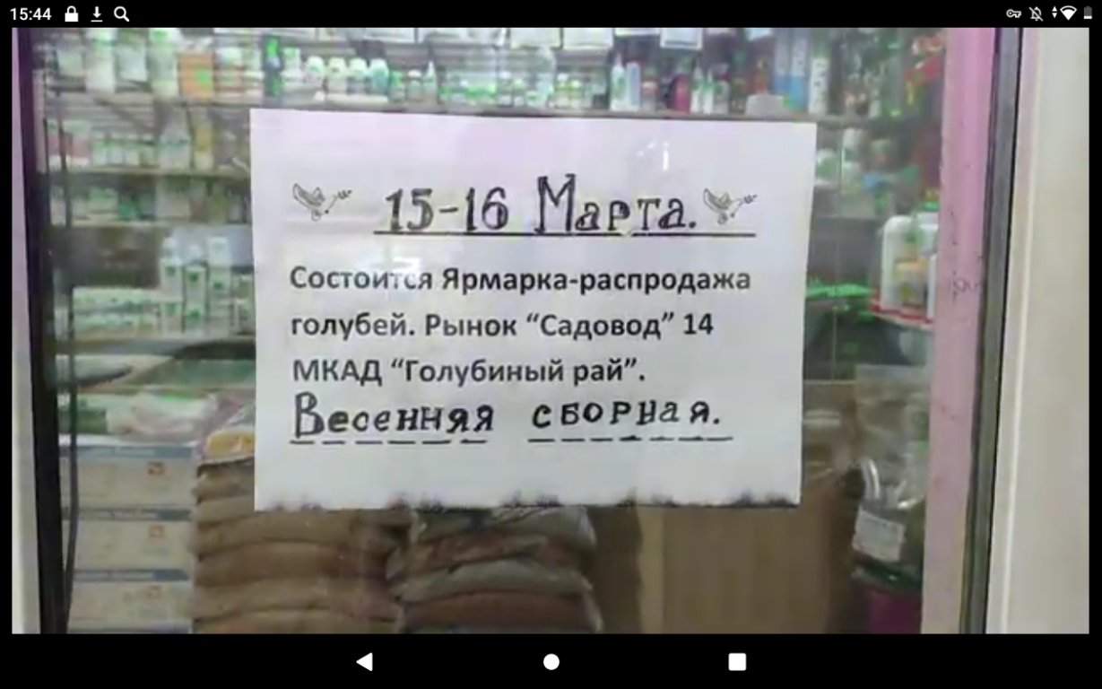 post-24840-0-25702400-1738069896.png