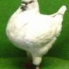 Ярмарка-распродажа голубей в г.Тула 20.03.21 - последнее сообщение от SED