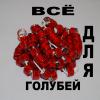 Выставка голубей в Туле - последнее сообщение от arlekino