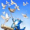 Куплю сербских высоколетных голубов - последнее сообщение от Олег75